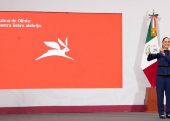 Proyecto ‘Olinia’: ¿cuándo estarán listos los primeros autos eléctricos?