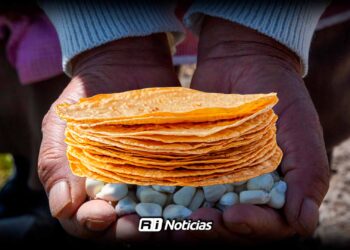 Cosecha récord de maíz en EU mantiene estable el precio de la tortilla en México