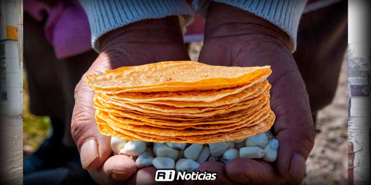 Cosecha récord de maíz en EU mantiene estable el precio de la tortilla en México