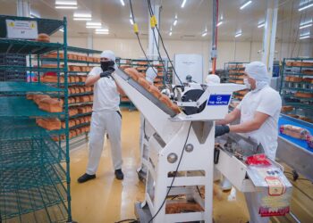 Sinaloa suma 114,772 MDP en inversión privada en lo que va del gobierno de Rocha