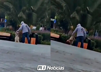 Evidencian en VIDEO maltrato a un perro en un jardín en Pachuca