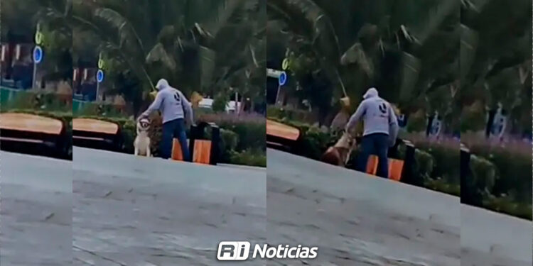 Evidencian en VIDEO maltrato a un perro en un jardín en Pachuca