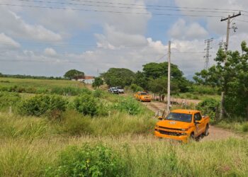 Fallecen dos personas por ataque de abejas cerca de La Urraca, en Mazatlán