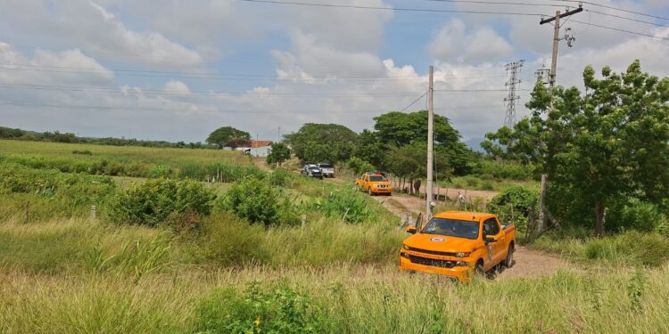 Fallecen dos personas por ataque de abejas cerca de La Urraca, en Mazatlán