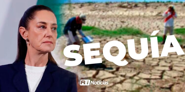 Sheinbaum atribuye pérdida de empleos en Sinaloa a la sequía y no a la violencia