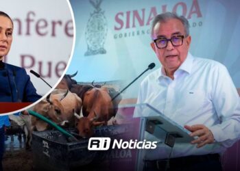 Sectores agrícola, ganadero, magisterial y empresarial en óptimas condiciones en Sinaloa gracias a Sheinbaum: Rocha Moya