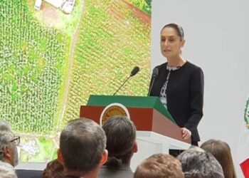 Programas del Bienestar llegan a 32 millones de personas: Sheinbaum