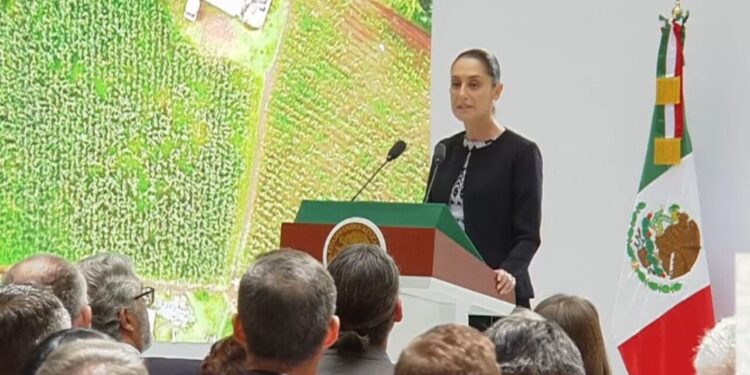 Programas del Bienestar llegan a 32 millones de personas: Sheinbaum