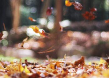 ¿Cuándo inicia el otoño en México?