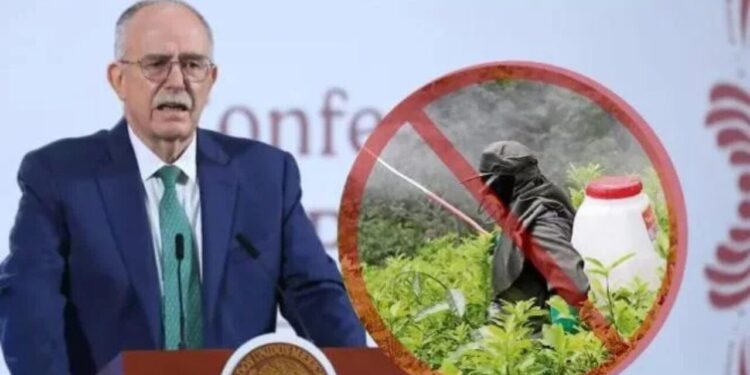 Gobierno de México prohíbe 35 plaguicidas peligrosos