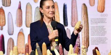 Gobierno prevé implementar programa para el cultivo de maíz criollo