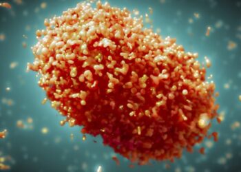 OMS levanta la emergencia sanitaria internacional por viruela del mono ante el descenso de casos