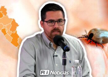 Suman 33 casos de rickettsia en Sinaloa; tres muy graves: SSA