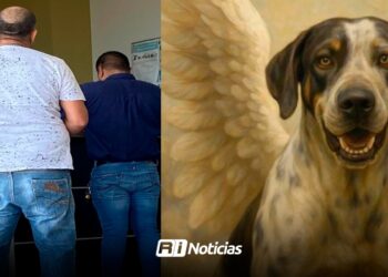 Vinculan a proceso a Valentín “N” por crueldad animal y allanamiento de morada