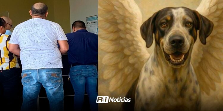 Vinculan a proceso a Valentín “N” por crueldad animal y allanamiento de morada