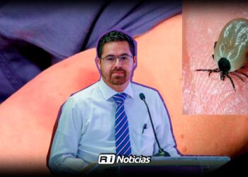 Suman 7 muertes por rickettsia en Sinaloa; hay 6 niños internados