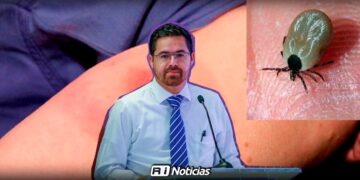 Suman 7 muertes por rickettsia en Sinaloa; hay 6 niños internados