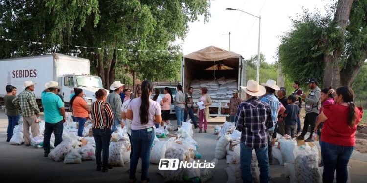 Sinaloa registra más de 300 familias desplazadas por violencia en comunidades de Culiacán