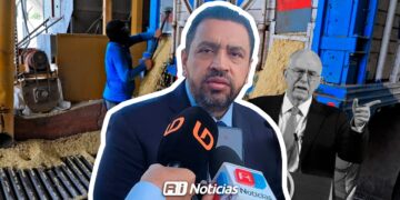 Sin definir aún producción de maíz para ciclo 2025-2026: Secretaría de Agricultura y Ganadería
