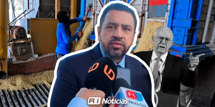 Sin definir aún producción de maíz para ciclo 2025-2026: Secretaría de Agricultura y Ganadería