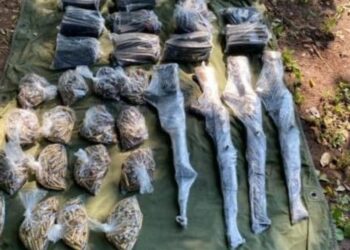 Ejército asegura armamento en campamento clandestino en Elota