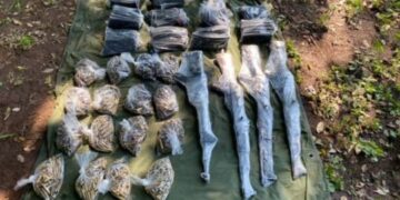 Ejército asegura armamento en campamento clandestino en Elota