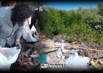 Limpieza de manglares revela graves niveles de contaminación en Mazatlán