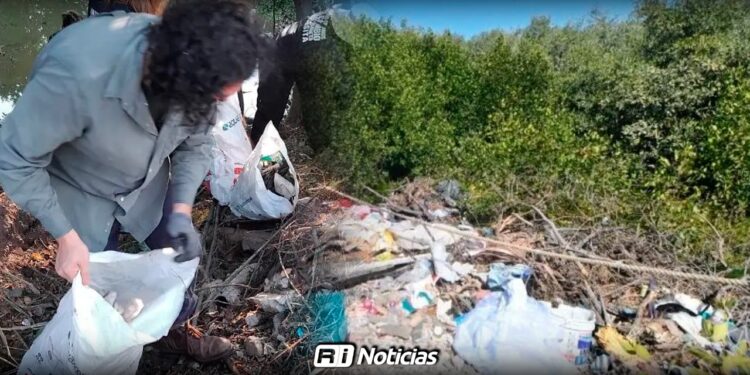 Limpieza de manglares revela graves niveles de contaminación en Mazatlán
