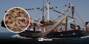 Camaroneros del sur de Sinaloa pondrán sobre la mesa fechas que sea levantada la veda