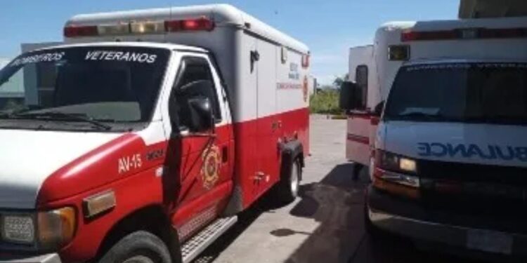 Ataque de abejas al sur de Mazatlán deja dos heridos