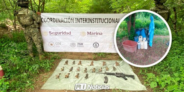 “Operación Frontera Norte”: Millonario revés en Sinaloa contrasta con la ineficacia en el resto del país