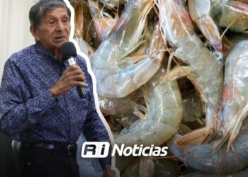Pescadores sinaloenses consideran inviable el levantamiento de la veda de camarón