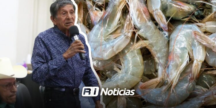 Pescadores sinaloenses consideran inviable el levantamiento de la veda de camarón