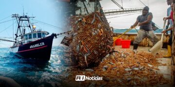 CONAPESCA busca mejor producción de camarón de cara al cese de veda