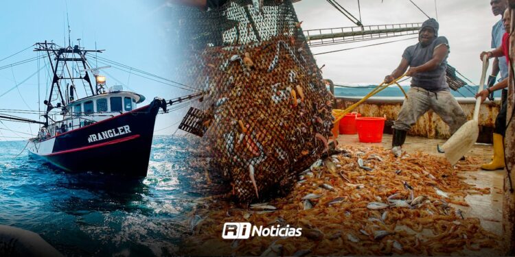 CONAPESCA busca mejor producción de camarón de cara al cese de veda