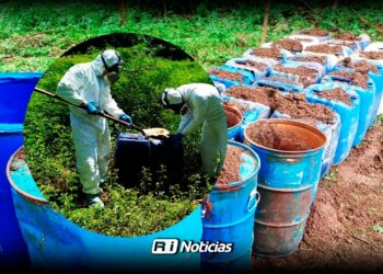 Golpe al crimen organizado en Sinaloa: Decomisos millonarios y detenciones en varios municipios