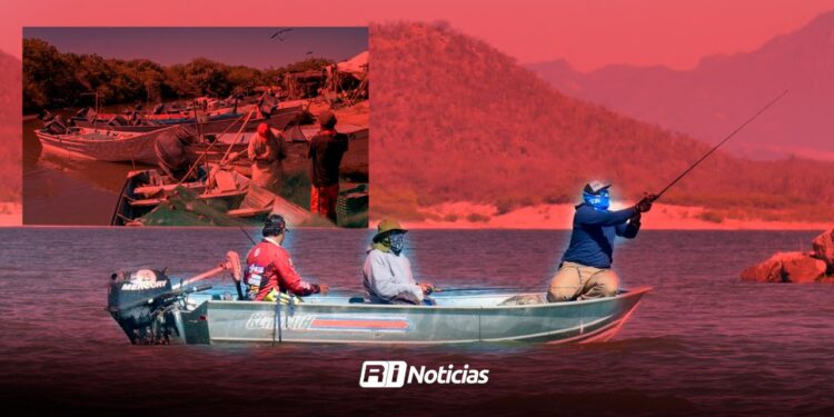De la abundancia a la crisis; pescadores reportan críticos números en el Camionero y Huizache 