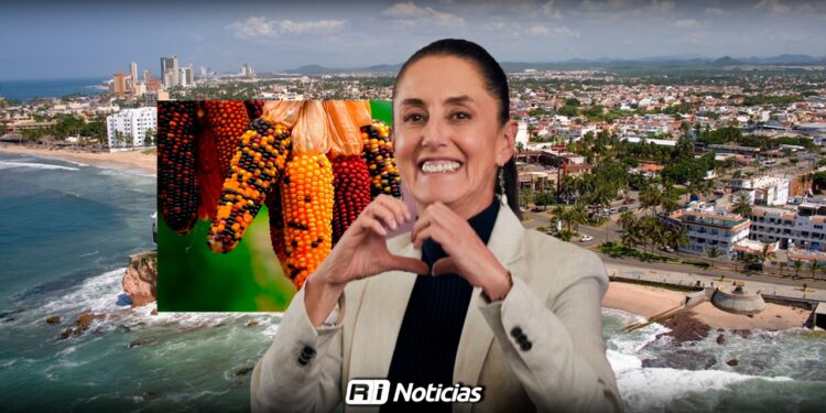 Sheinbaum visitará Mazatlán, el maíz, tema central confirma gobernador