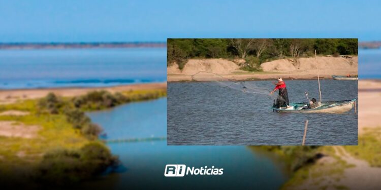 Por baja demanda, suspenden captura de camarón en El Huizache, Mazatlán
