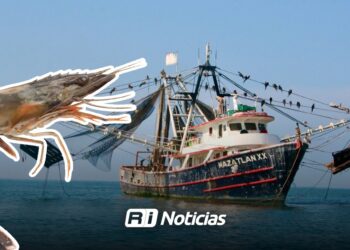 Más de 200 barcos camaroneros iniciaron la temporada en Mazatlán