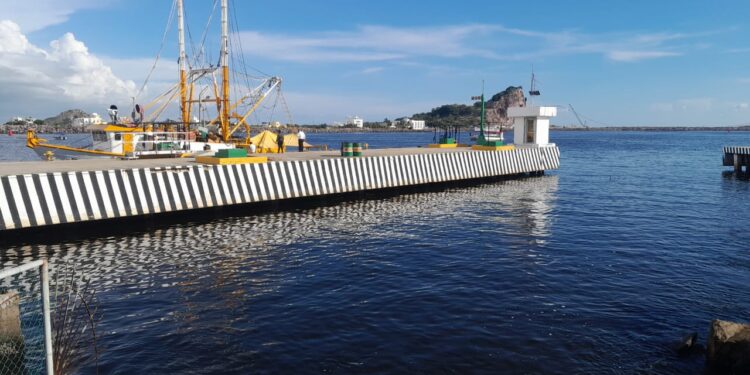 Pescador pierde la vida al caer de un barco camaronero en altamar frente a Mazatlán