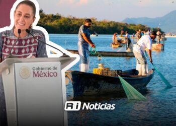 Fortalecen apoyo a pescadores: Bienpesca se afianza tras visita de Sheinbaum a Mazatlán