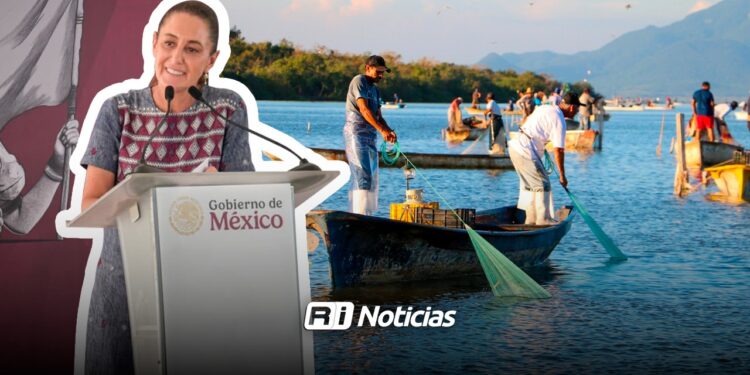 Fortalecen apoyo a pescadores: Bienpesca se afianza tras visita de Sheinbaum a Mazatlán