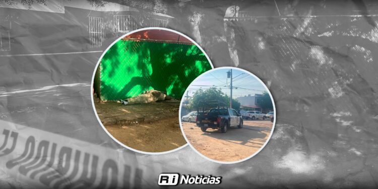 Localizan a una mujer sin vida en la colonia Infonavit Humaya; presentaba huellas de violencia