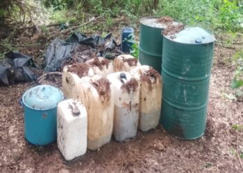 Operación Frontera Norte: 6 mil 940 detenidos y más de 5 mil armas aseguradas