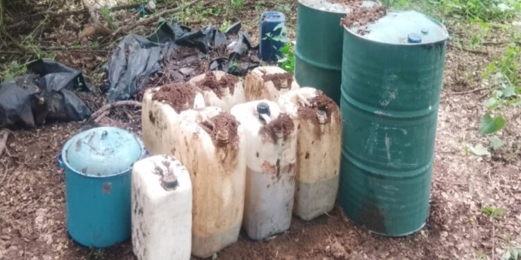 Operación Frontera Norte: 6 mil 940 detenidos y más de 5 mil armas aseguradas