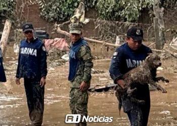 Semar continúa aplicando Plan Marina en Veracruz, Puebla, San Luis Potosí e Hidalgo