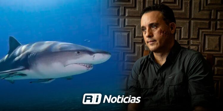 Mauricio Hoyos: “Hay que acabar con el mito de los tiburones asesinos. Somos nosotros los que matamos cientos de miles al día”