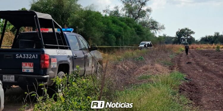 Descubren fosa clandestina con restos humanos en la sindicatura de San Pedro, Navolato