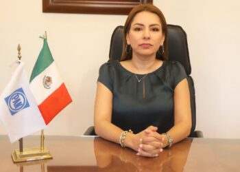 “Ni soberanía alimentaria ni apoyos, Morena está dejando morir al campo”: PAN